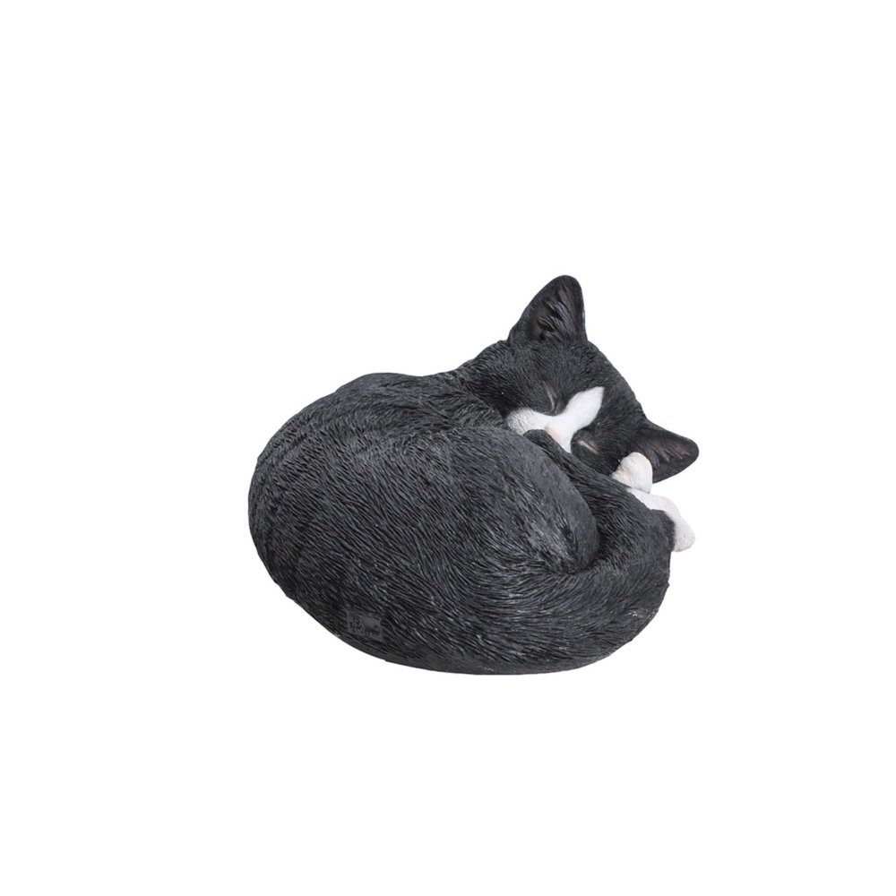 Black/White Cat Sleeping Lying Down. Picture 1
