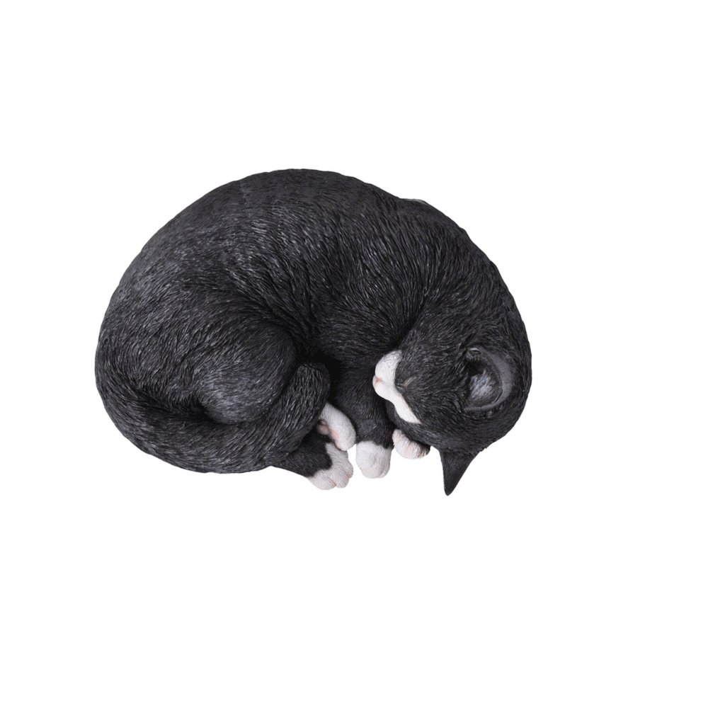 Black/White Cat Sleeping Lying Down. Picture 4