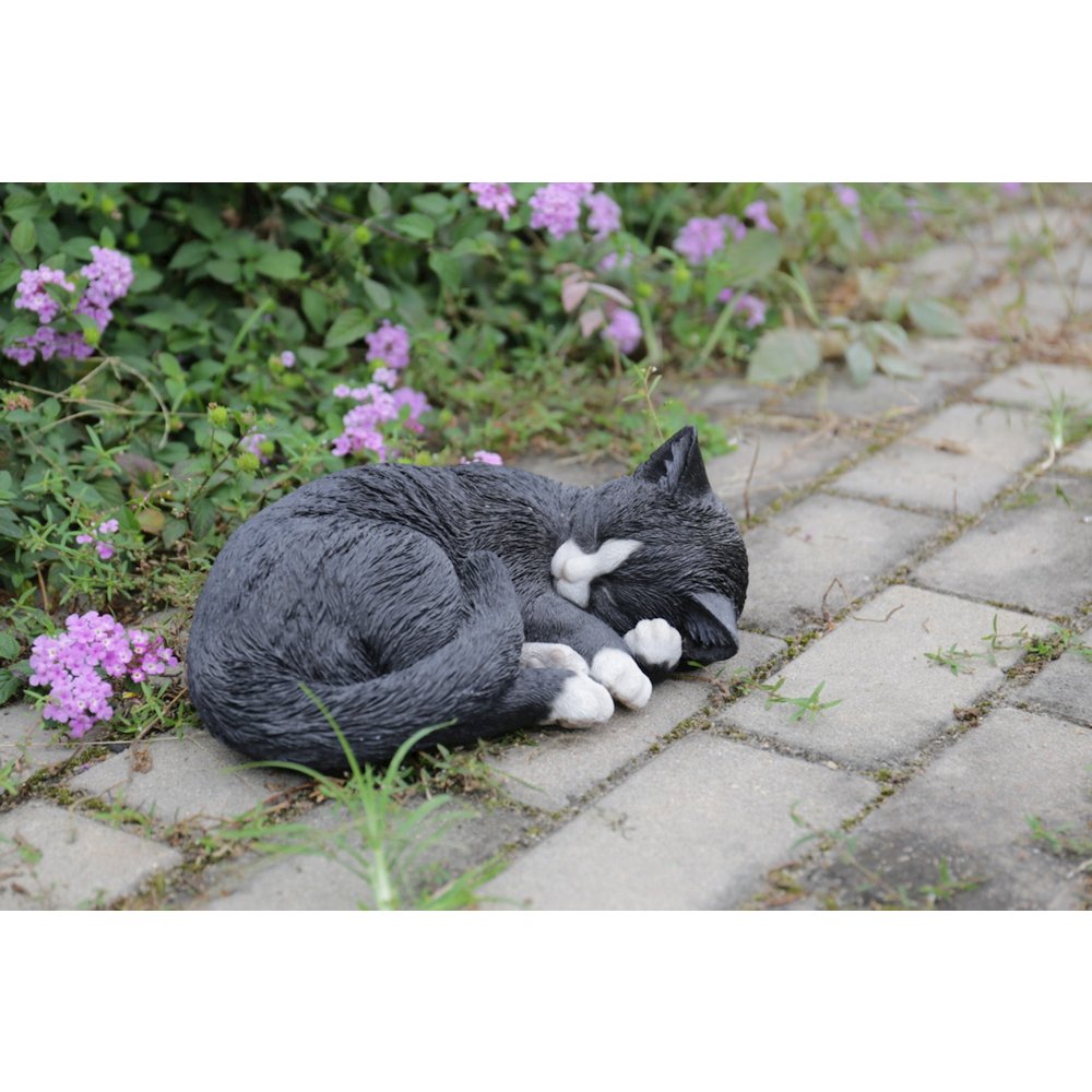 Black/White Cat Sleeping Lying Down. Picture 5