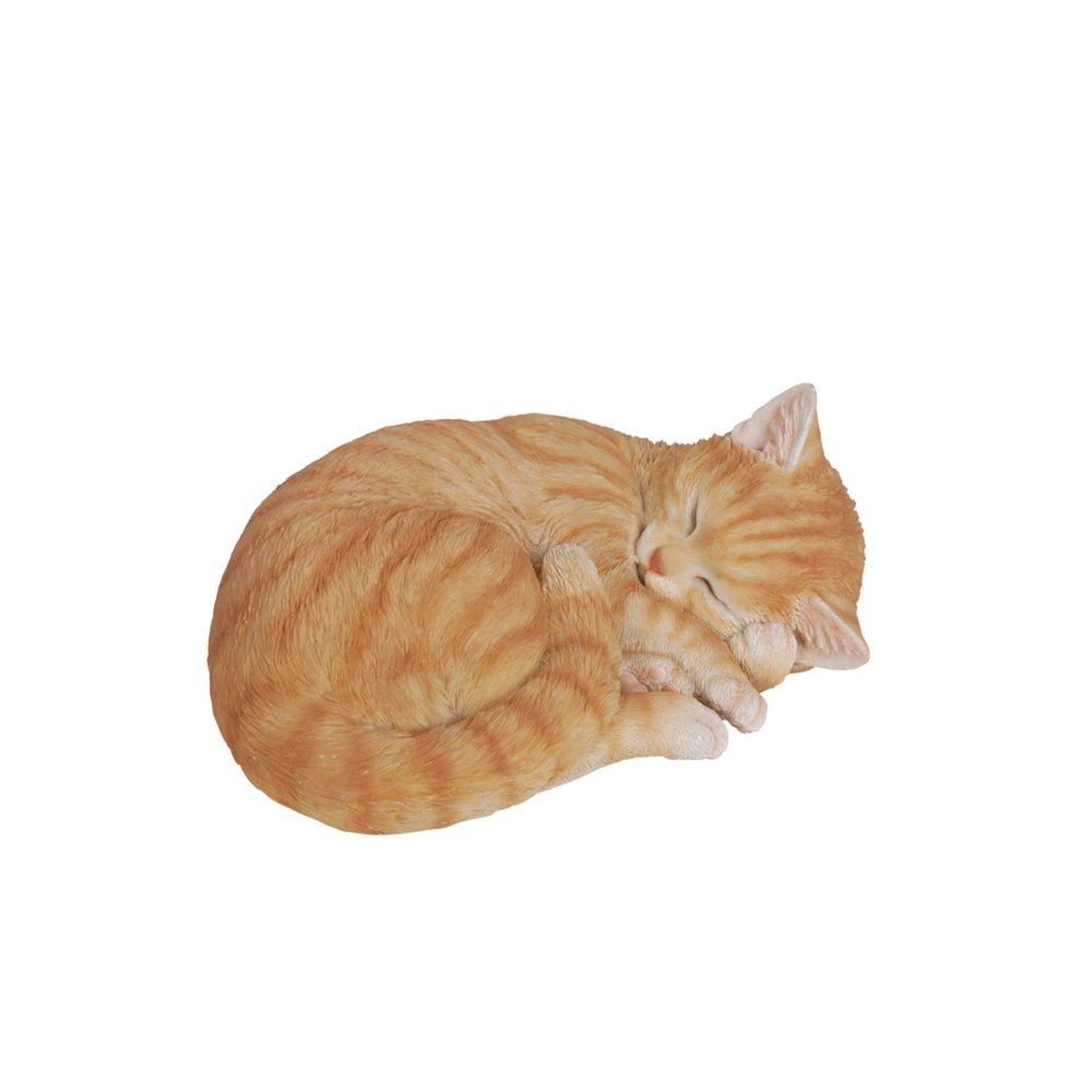 Orange Tabby Cat Sleeping Lying Down. Picture 2
