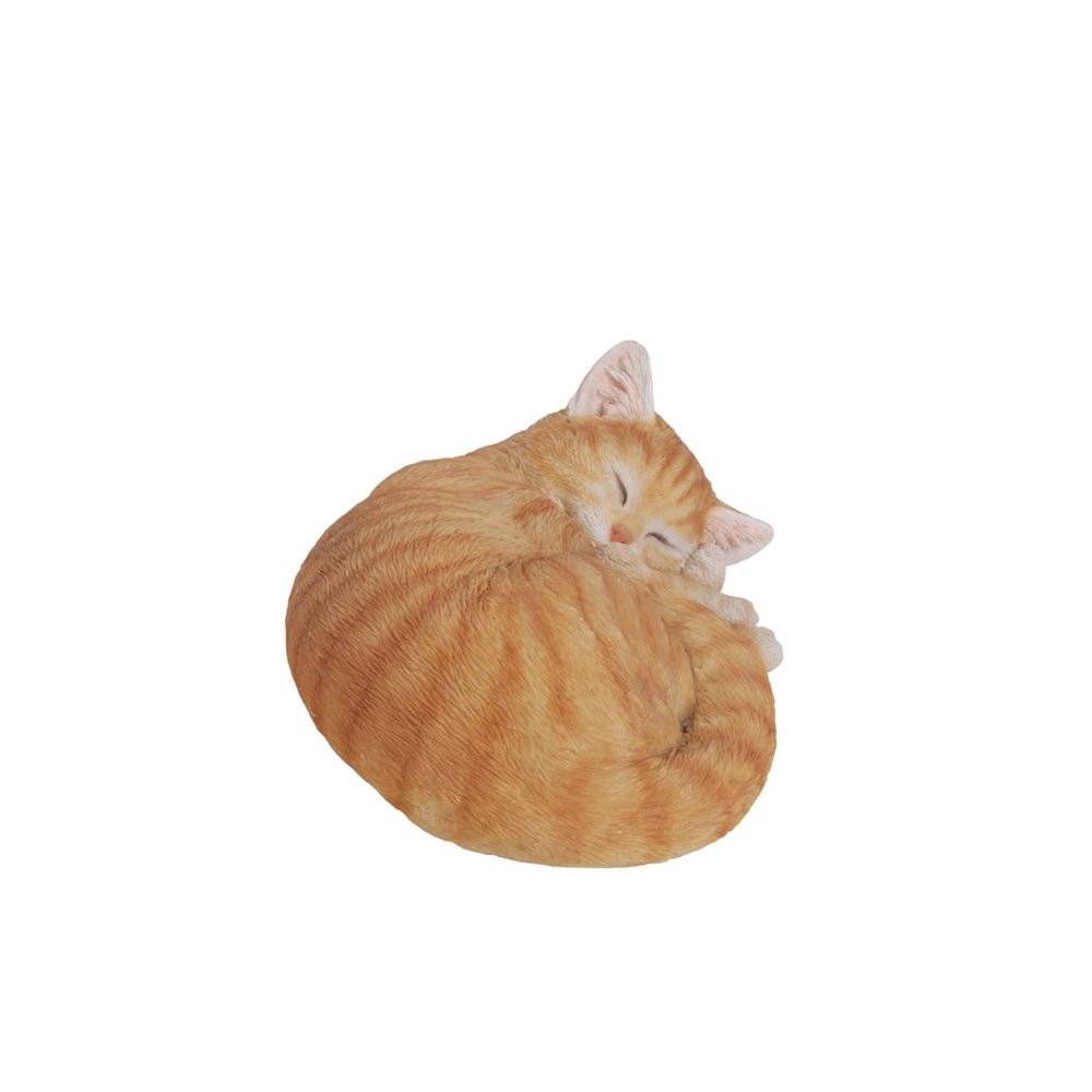 Orange Tabby Cat Sleeping Lying Down. Picture 1