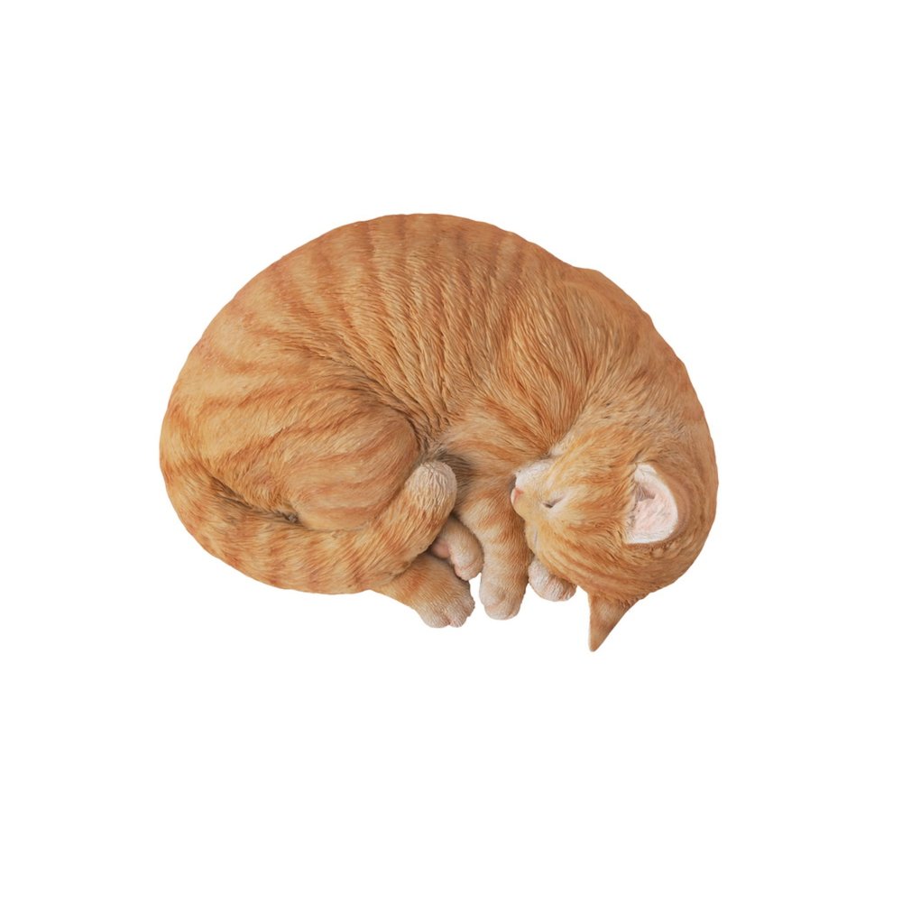 Orange Tabby Cat Sleeping Lying Down. Picture 3