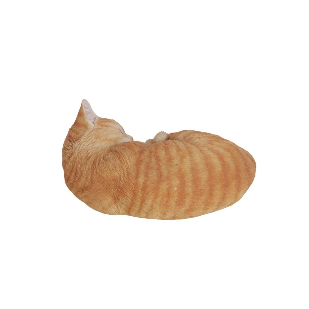 Orange Tabby Cat Sleeping Lying Down. Picture 4