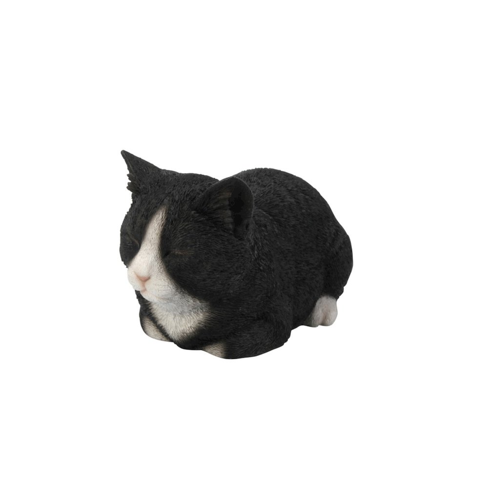 Black/White Cat Sleeping. Picture 2