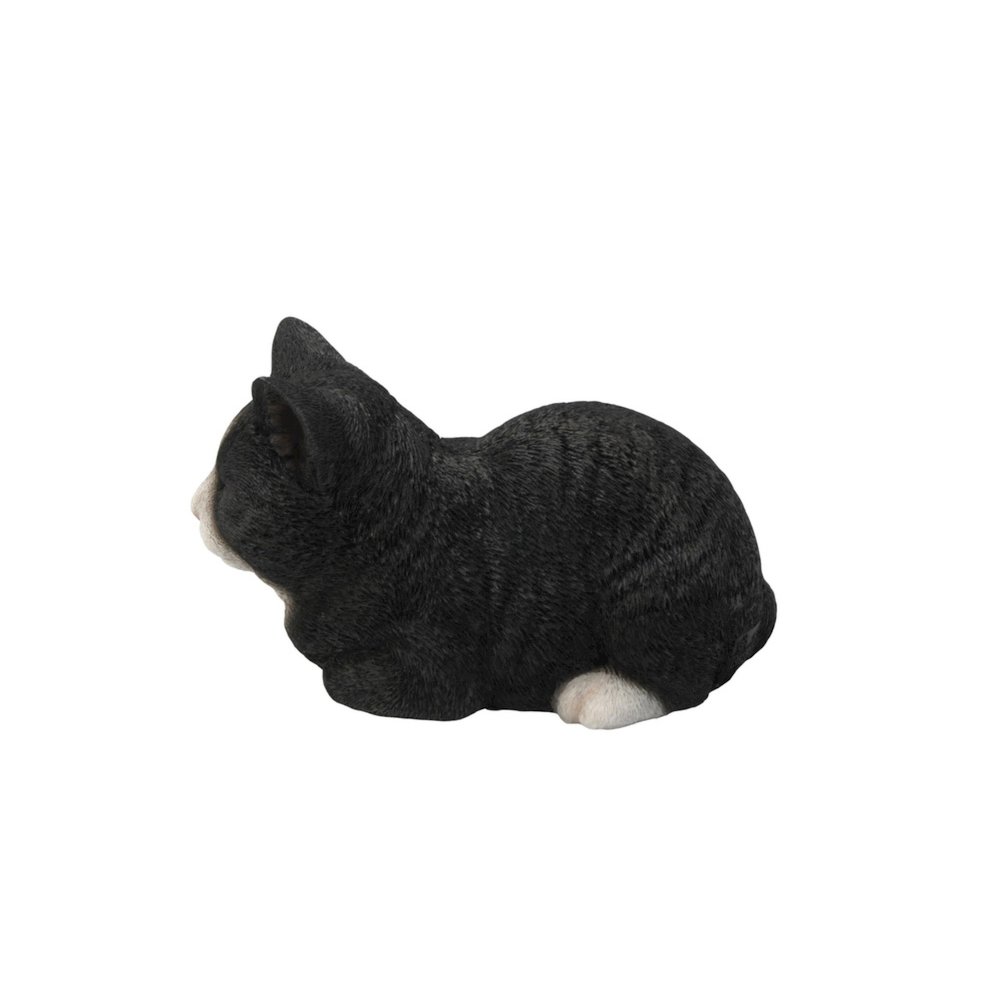Black/White Cat Sleeping. Picture 5