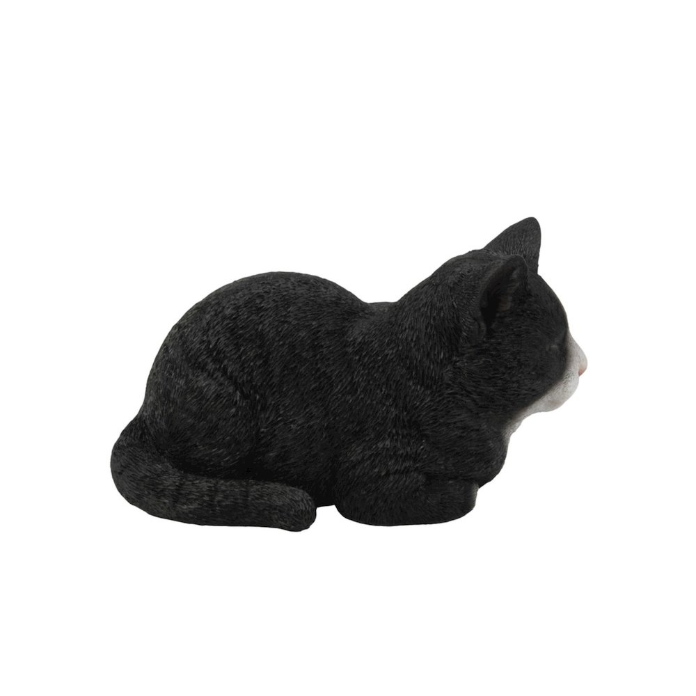Black/White Cat Sleeping. Picture 3