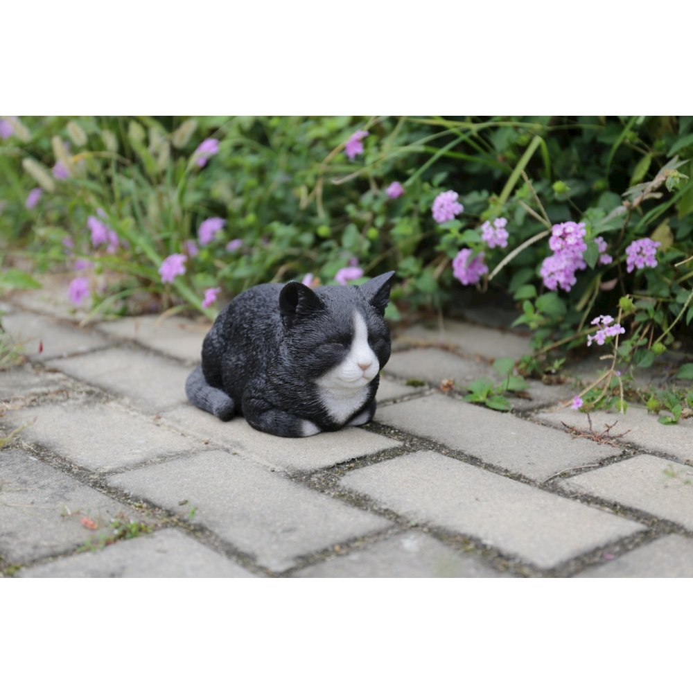 Black/White Cat Sleeping. Picture 4