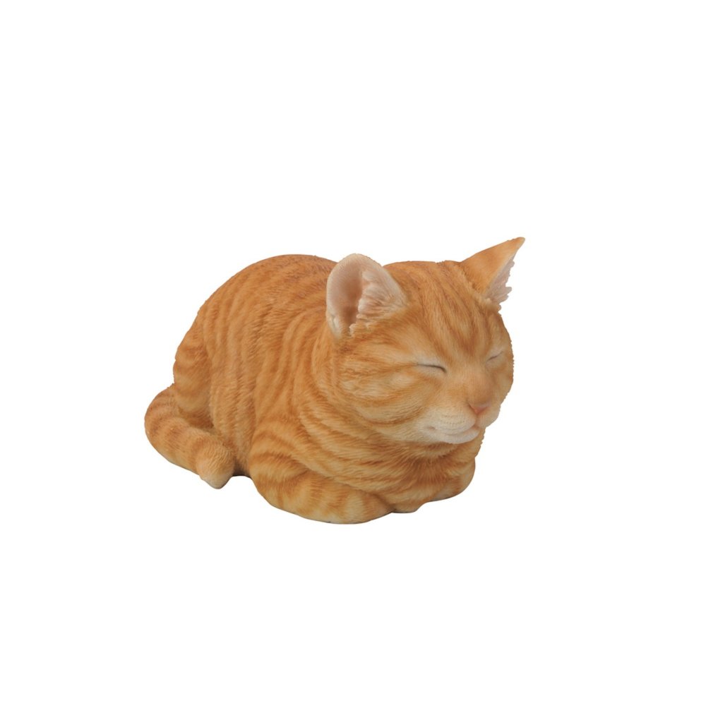 Orange Tabby Cat Sleeping. Picture 2