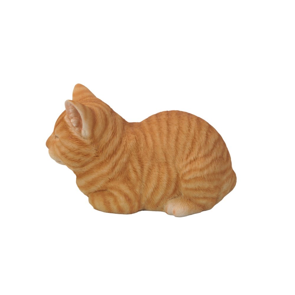 Orange Tabby Cat Sleeping. Picture 3