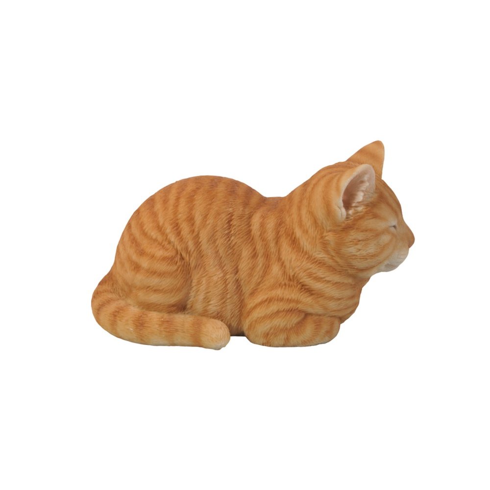 Orange Tabby Cat Sleeping. Picture 4