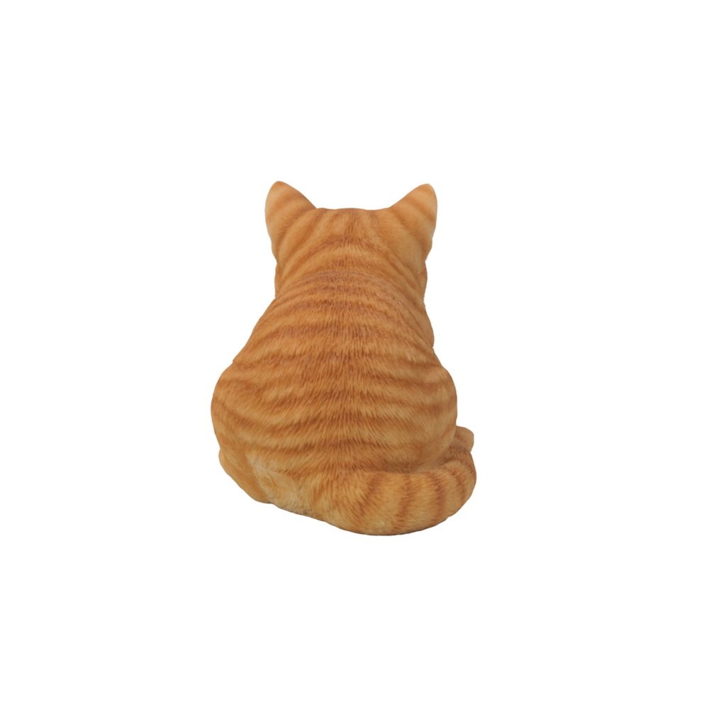 Orange Tabby Cat Sleeping. Picture 1
