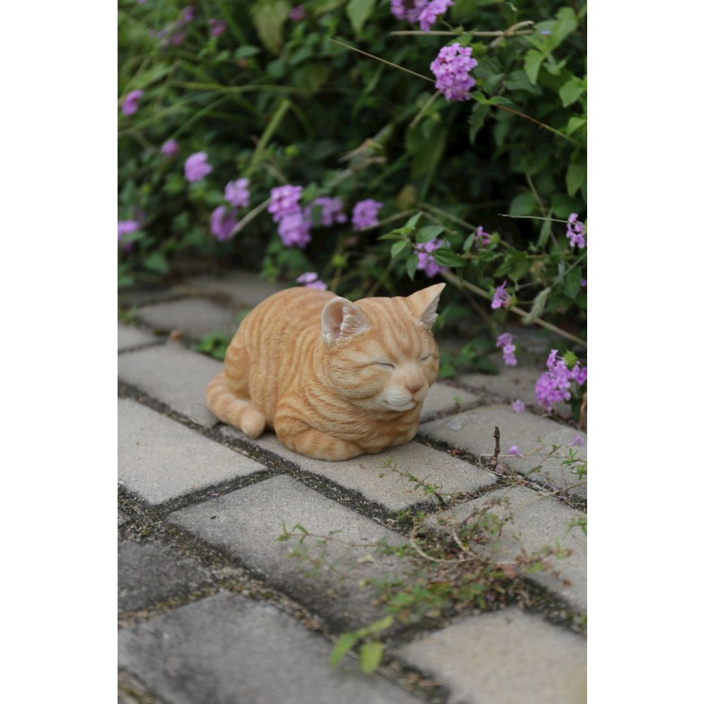 Orange Tabby Cat Sleeping. Picture 5