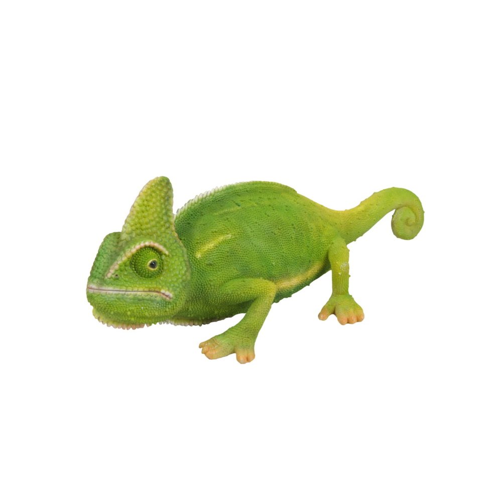 Cameleon. Picture 2