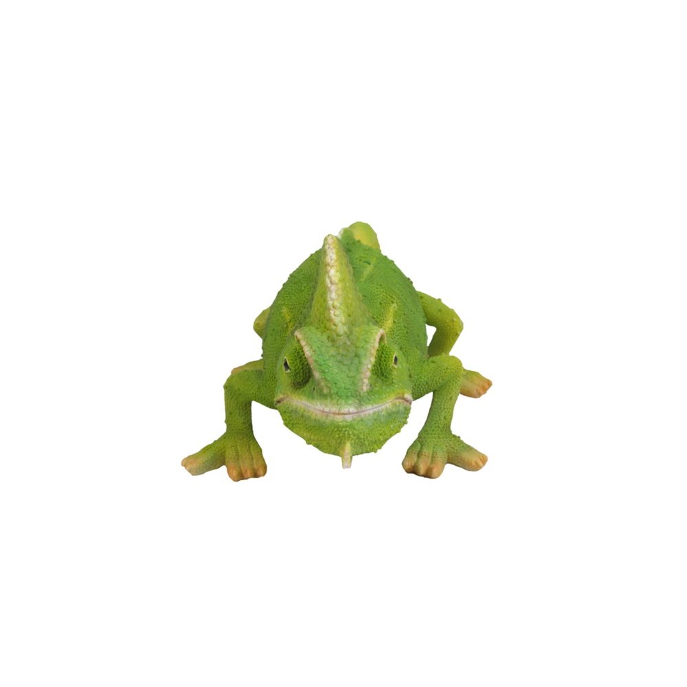 Cameleon. Picture 1