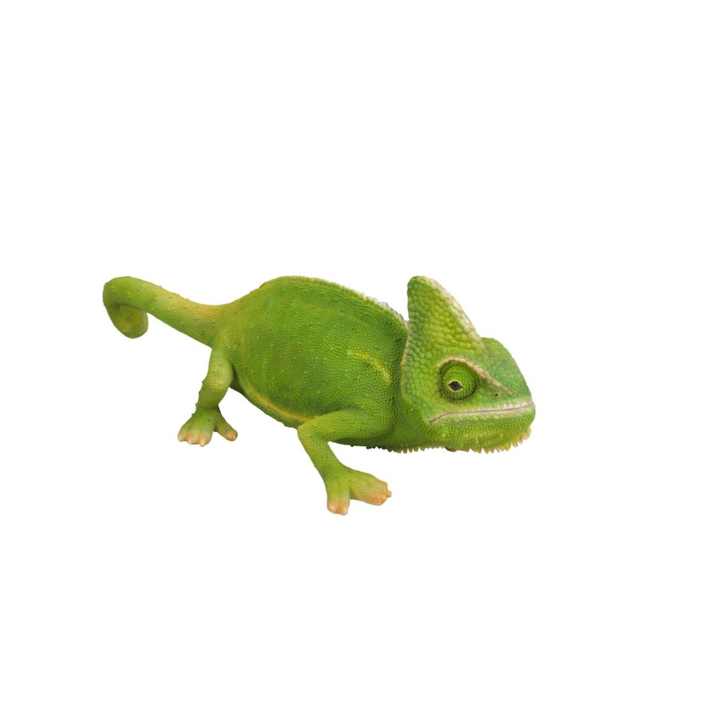 Cameleon. Picture 5