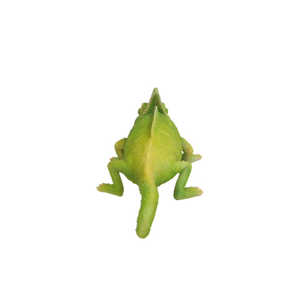 Cameleon. Picture 3