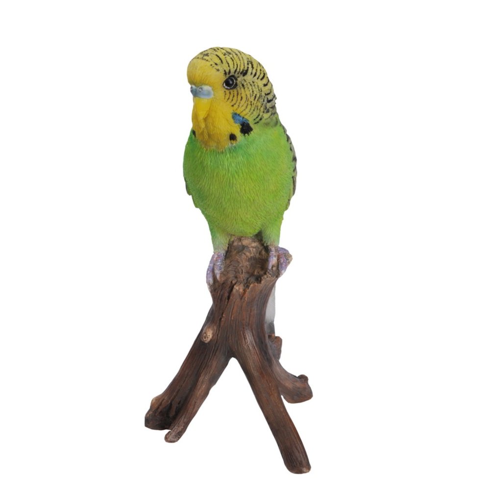 Budgie On Branch. Picture 1