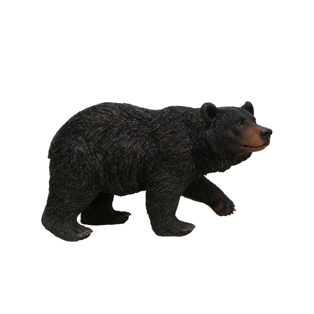 Black Bear Walking. Picture 1