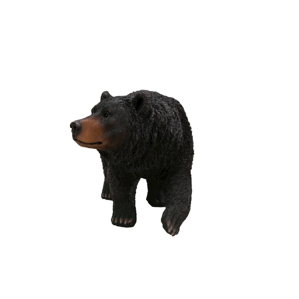Black Bear Walking. Picture 3