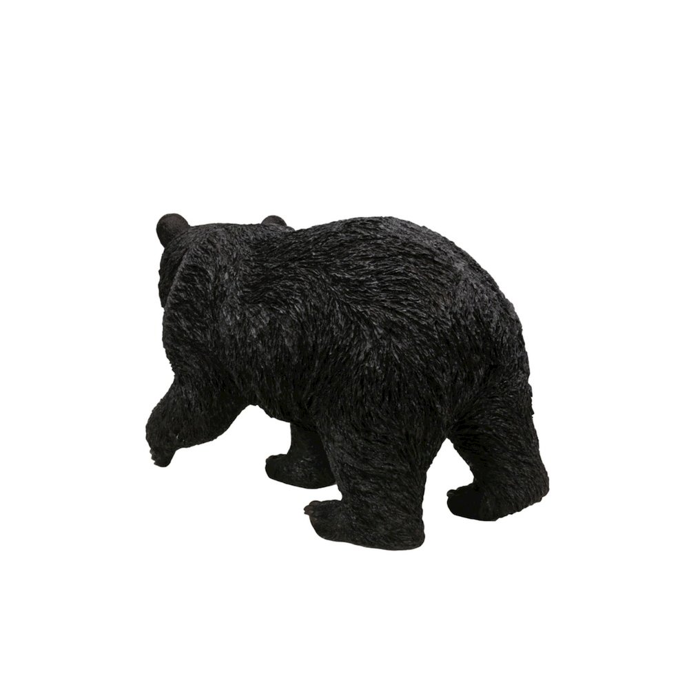 Black Bear Walking. Picture 4