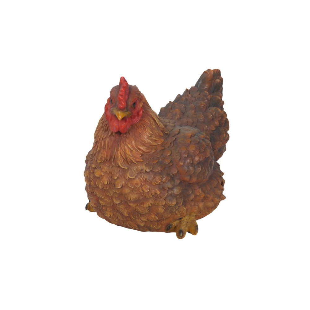 Hen Squatting. Picture 3