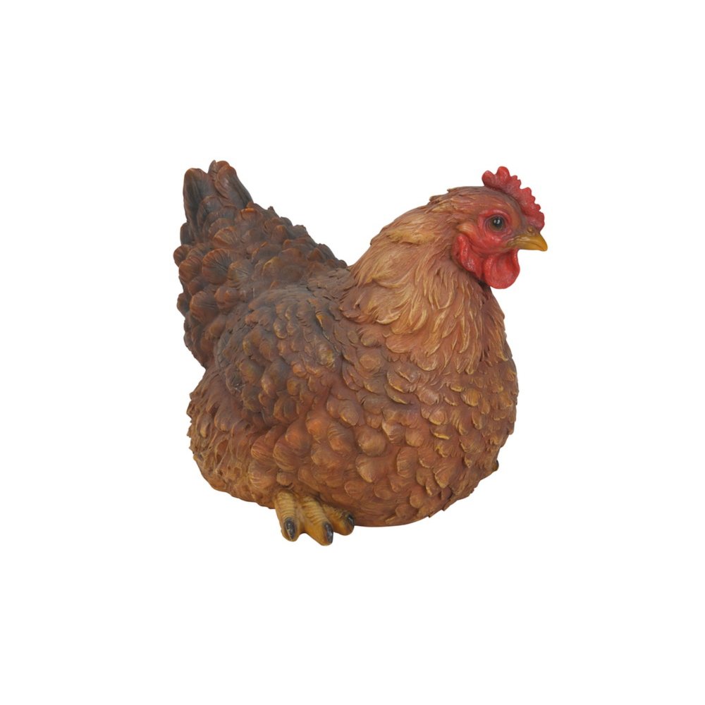 Hen Squatting. Picture 4