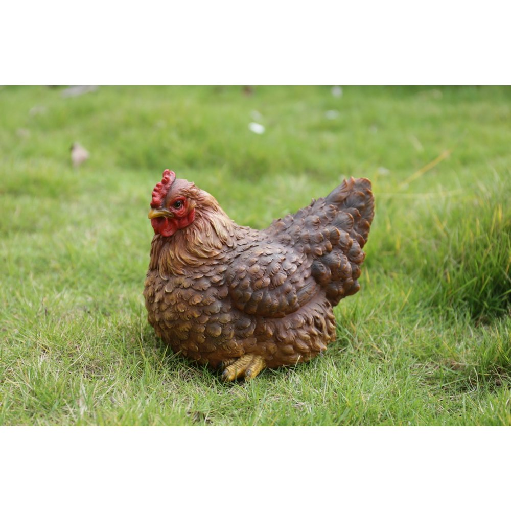 Hen Squatting. Picture 5