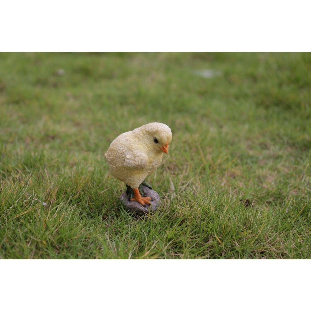 Baby Chicks Pair - One Looking Left, One Looking Right. Picture 6