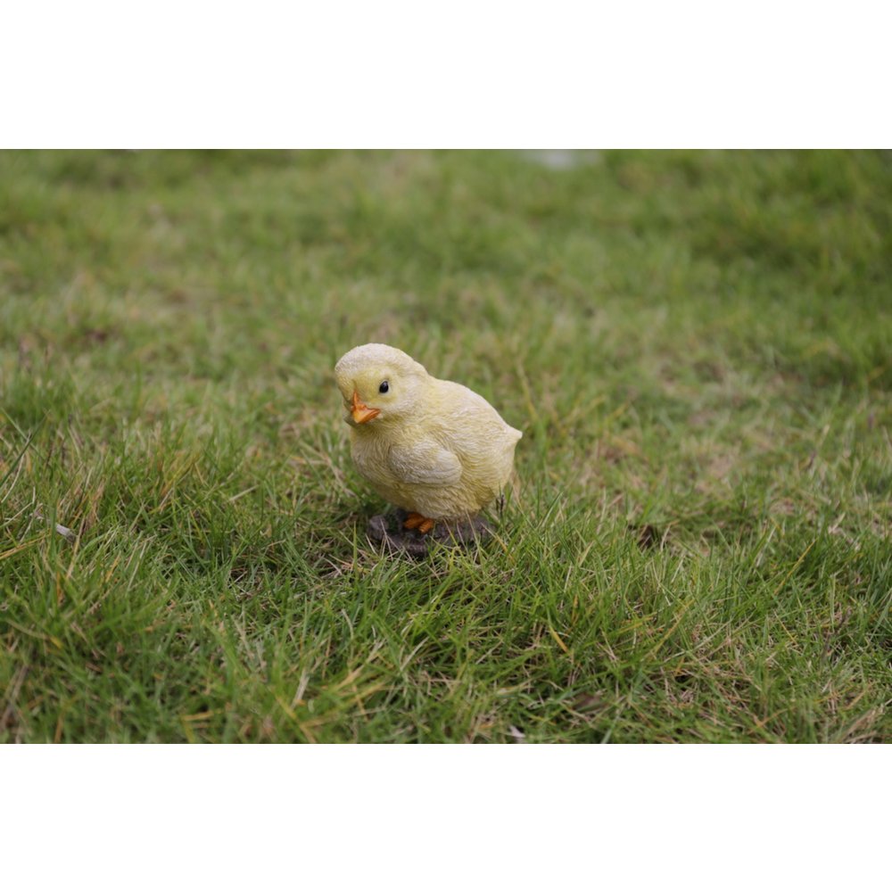 Baby Chicks Pair - One Looking Left, One Looking Right. Picture 7