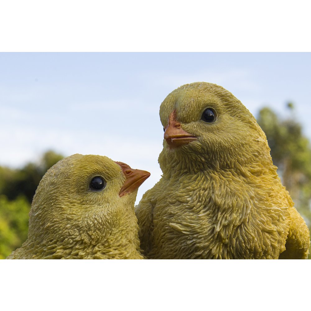 Playful Chicks Garden Statue. Picture 4