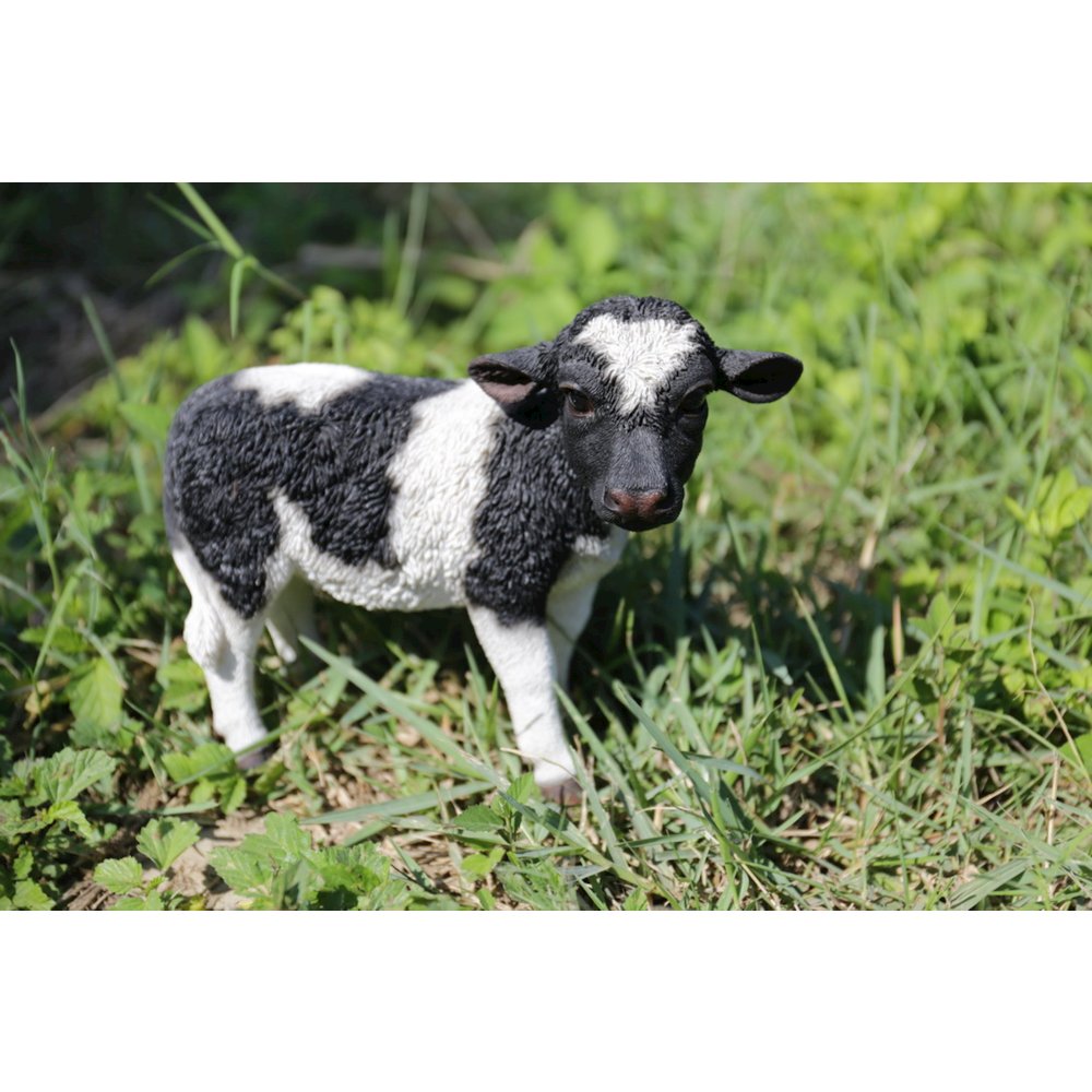 Standing Cow. Picture 4