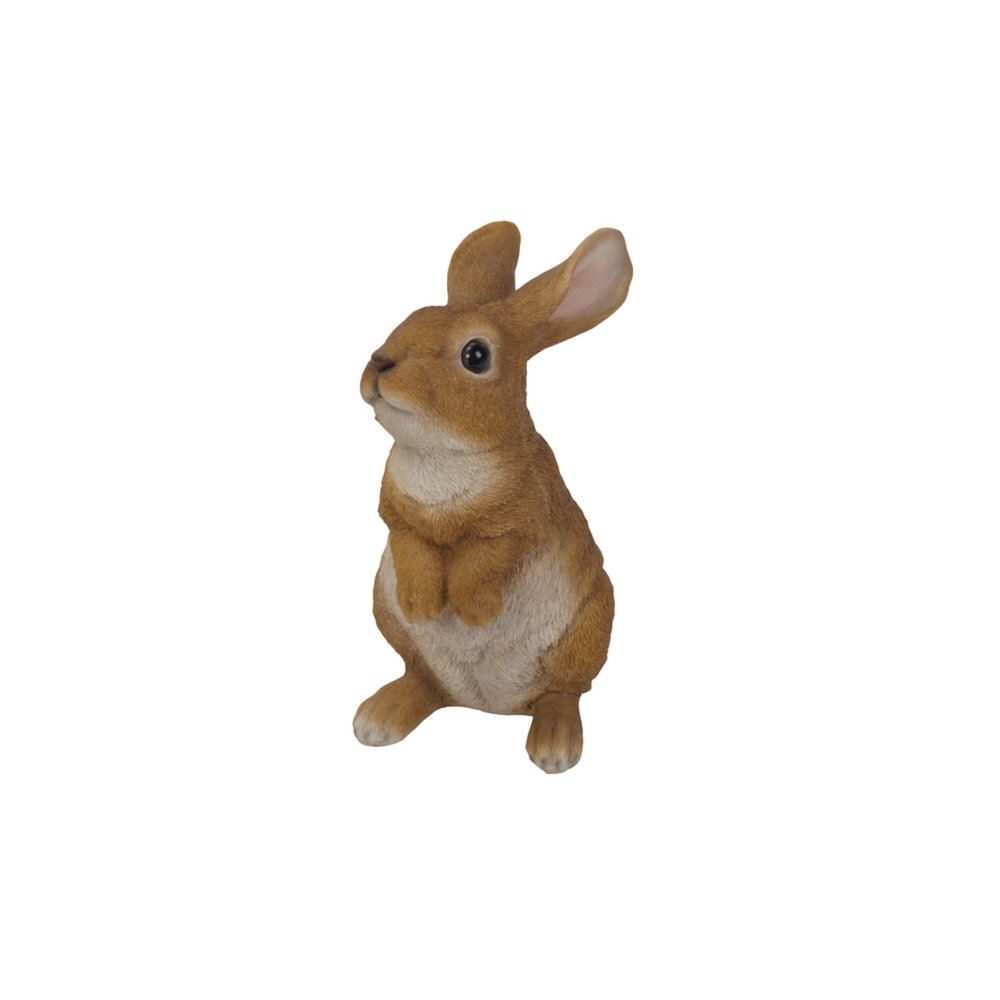 Standing Rabbit. Picture 3