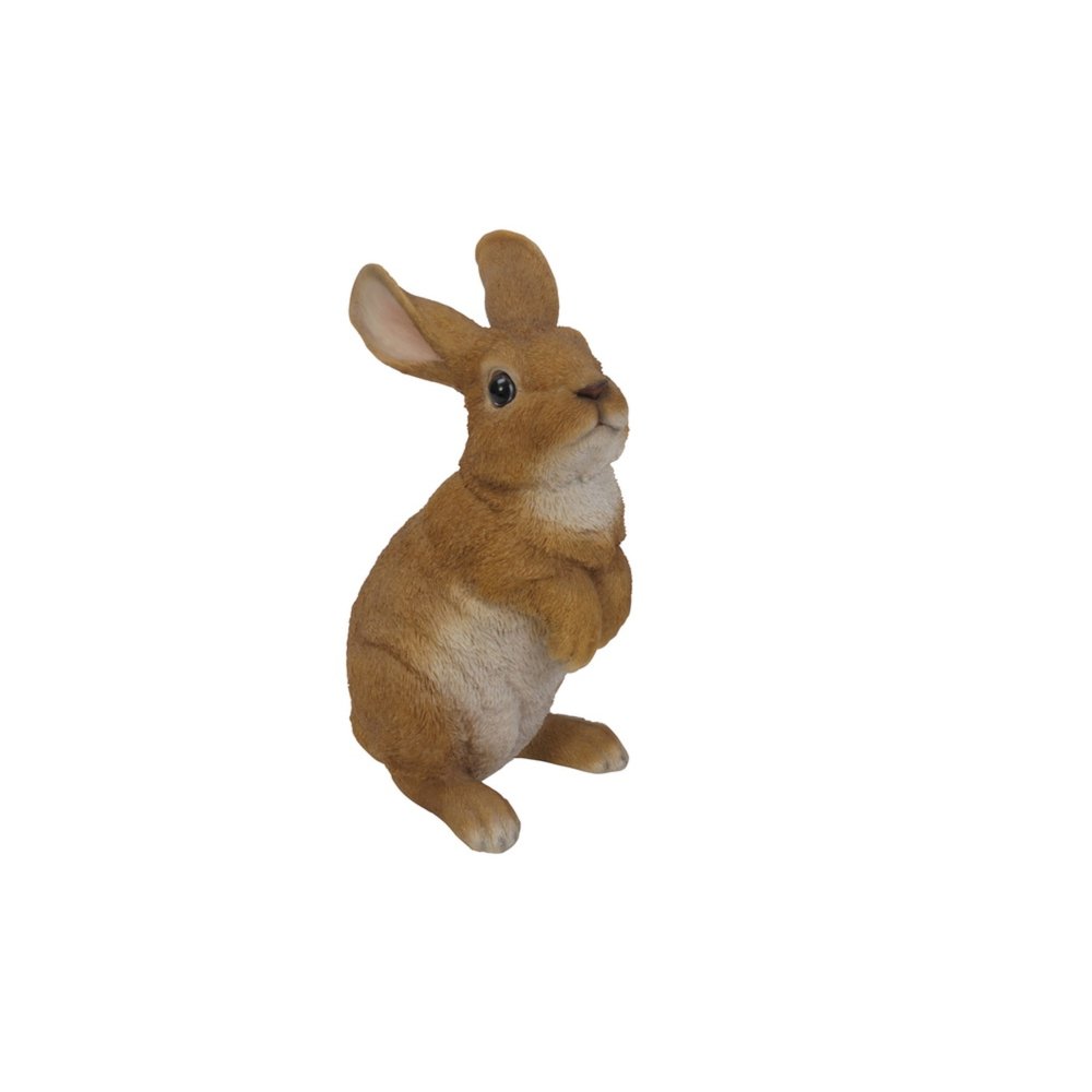 Standing Rabbit. Picture 2