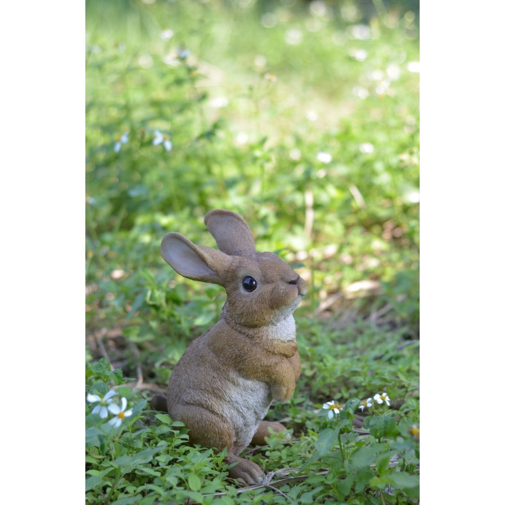 Standing Rabbit. Picture 5