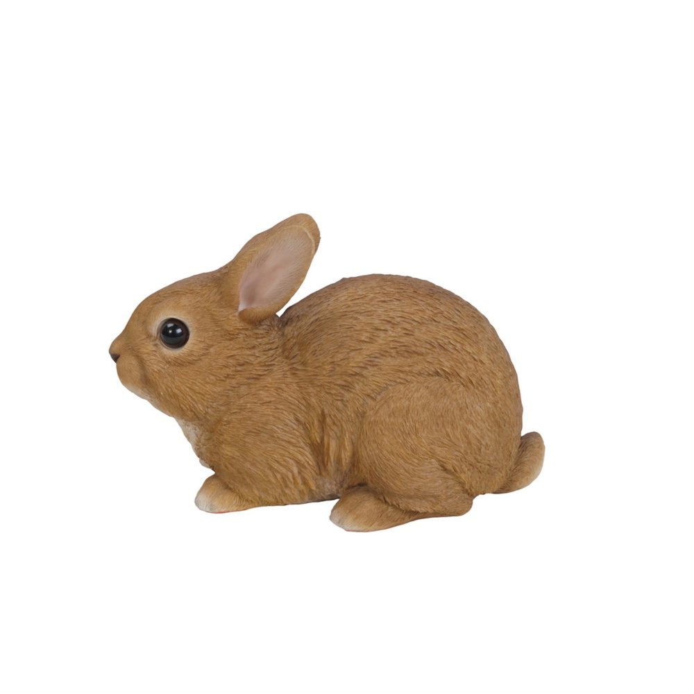 Sitting Rabbit. Picture 3