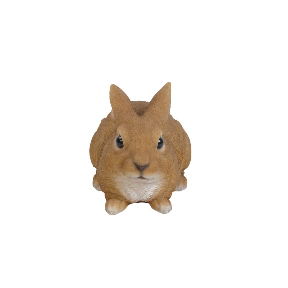 Sitting Rabbit. Picture 2