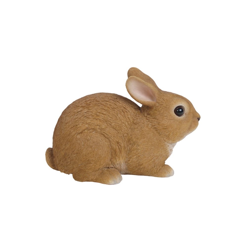 Sitting Rabbit. Picture 1