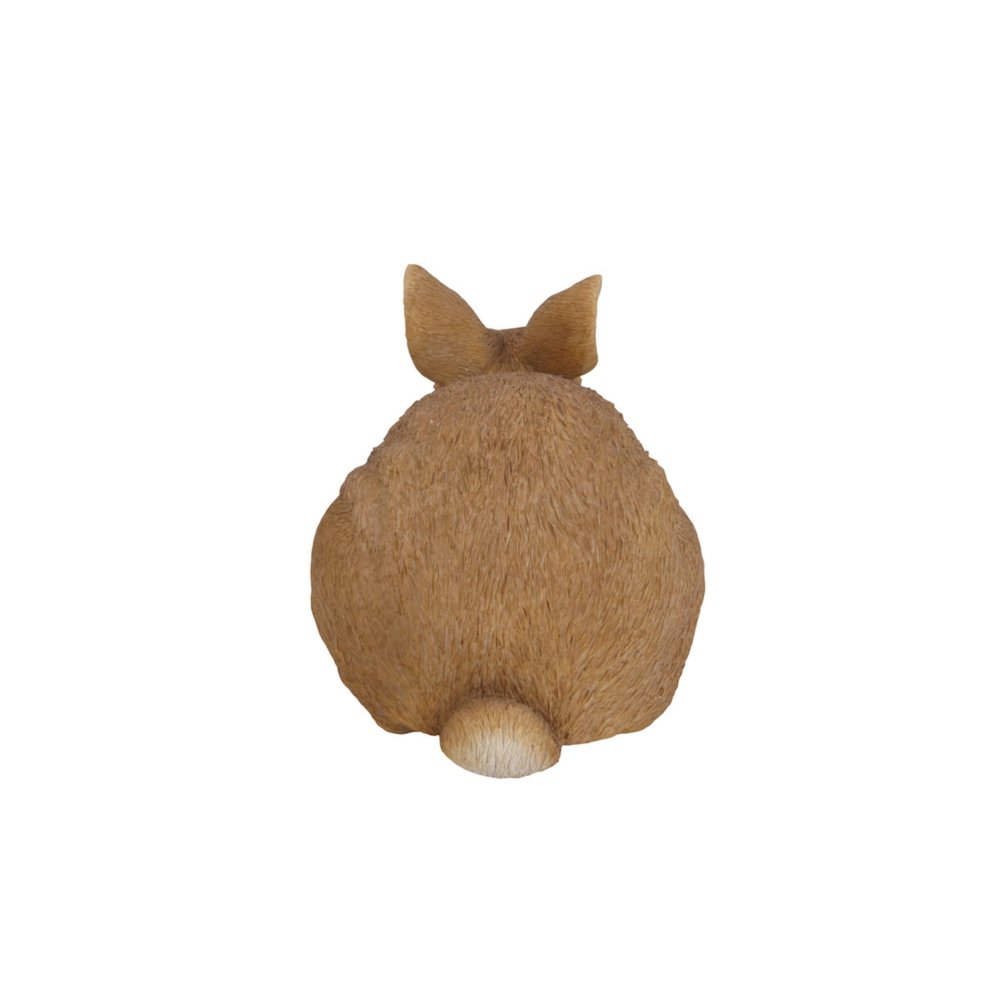 Sitting Rabbit. Picture 4