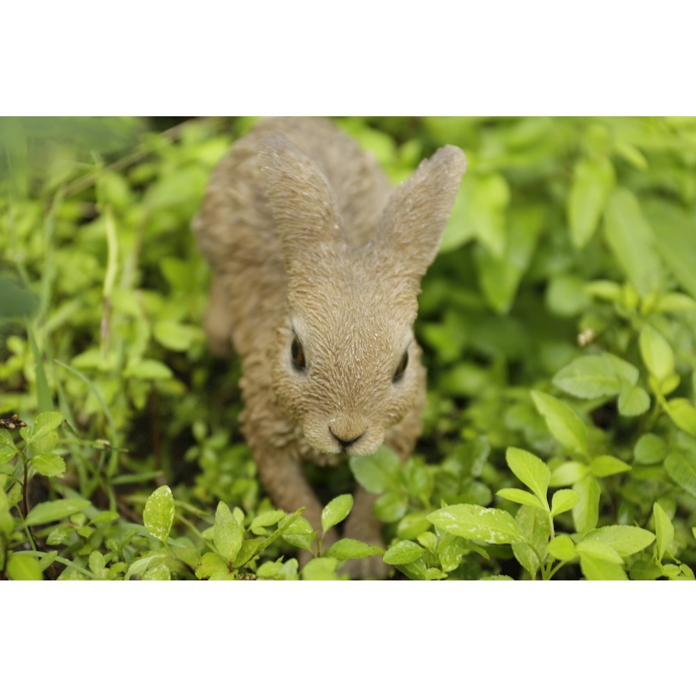 Hare Cub Running Statue. Picture 6
