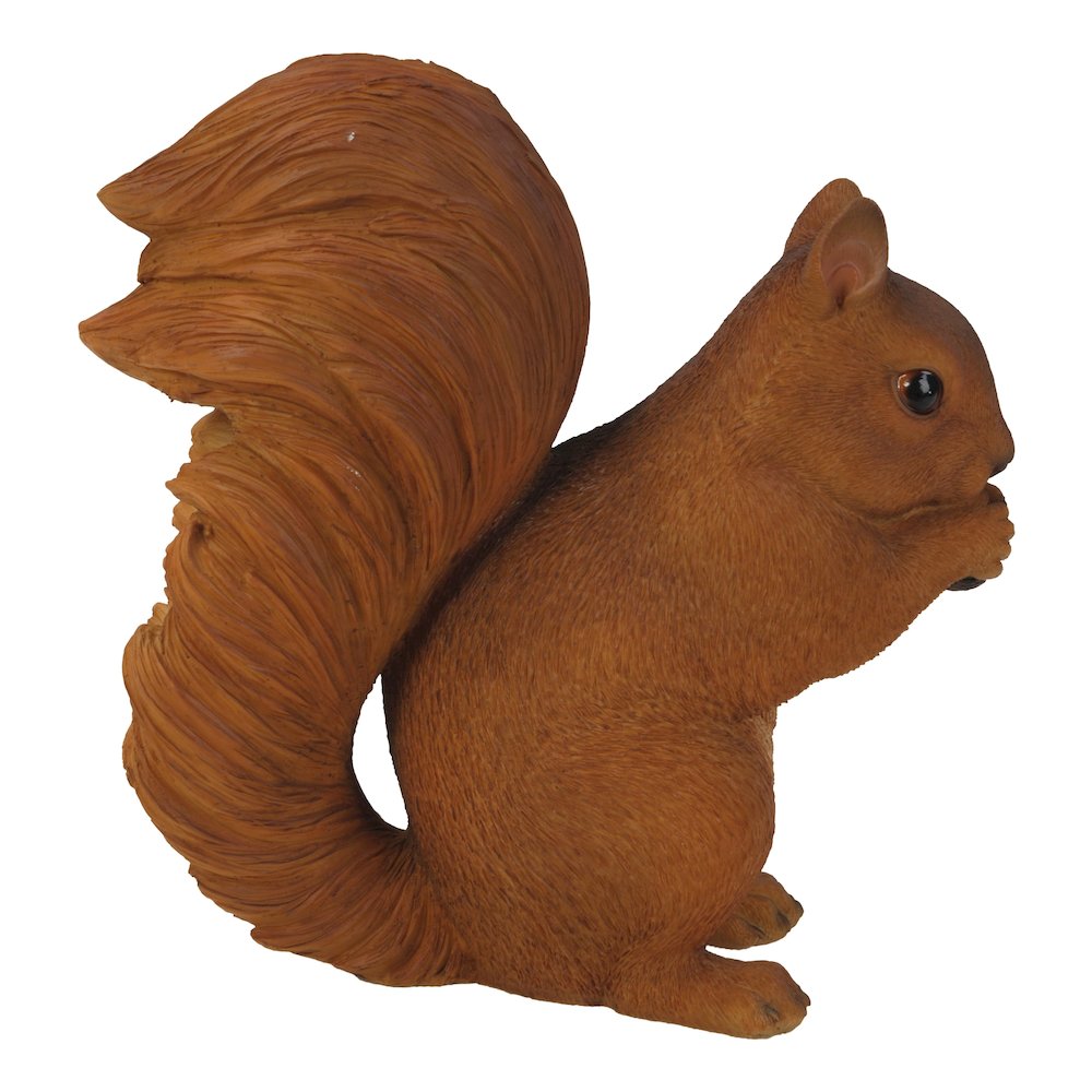 Brown Squirrel Eating. Picture 1