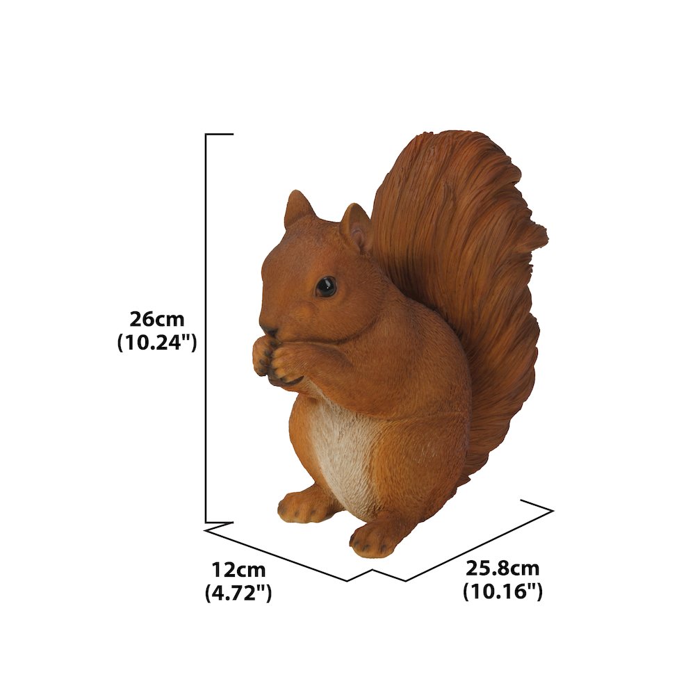 Brown Squirrel Eating. Picture 3