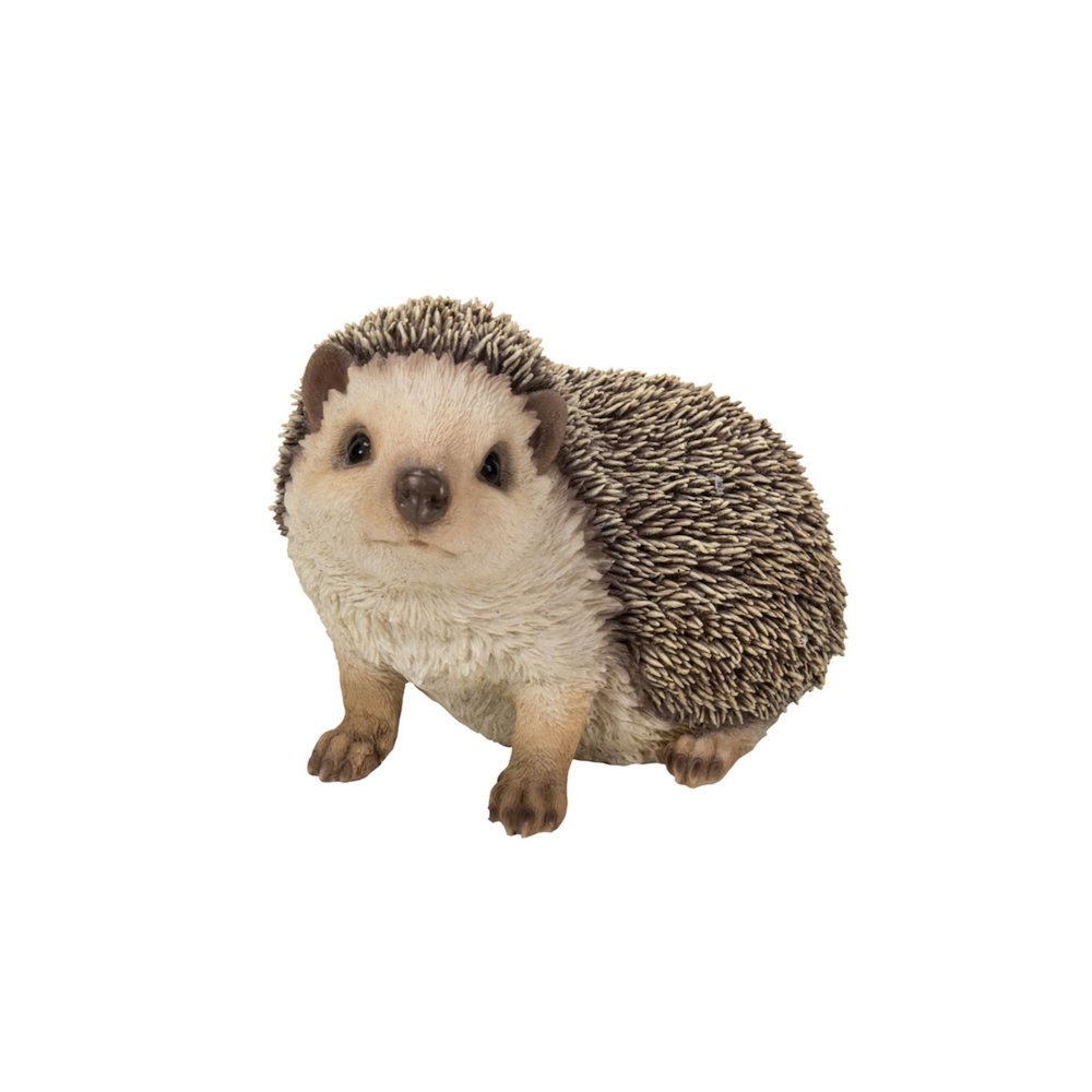 Crawling Hedgehog. Picture 2