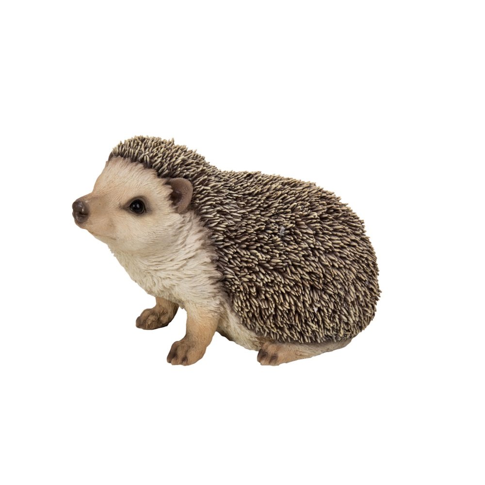 Crawling Hedgehog. Picture 3