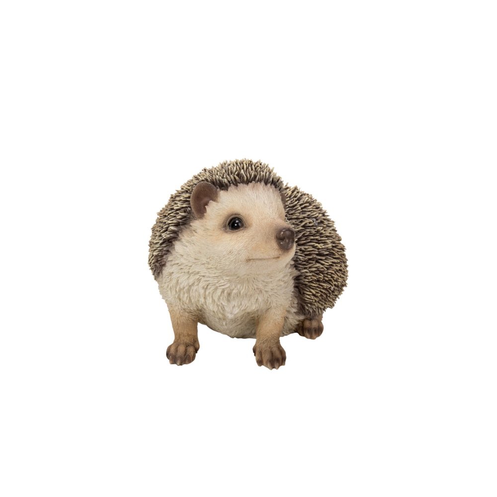Crawling Hedgehog. Picture 4