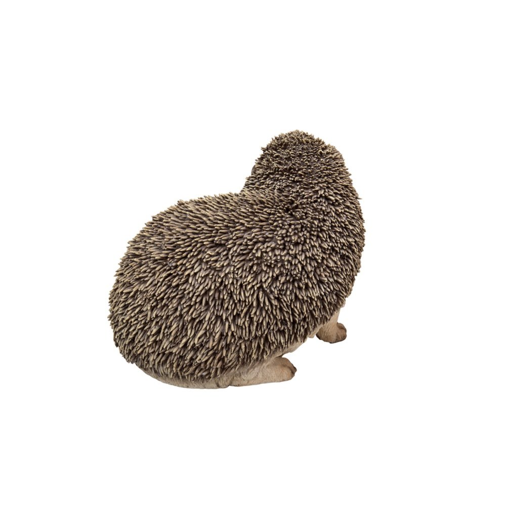 Crawling Hedgehog. Picture 1