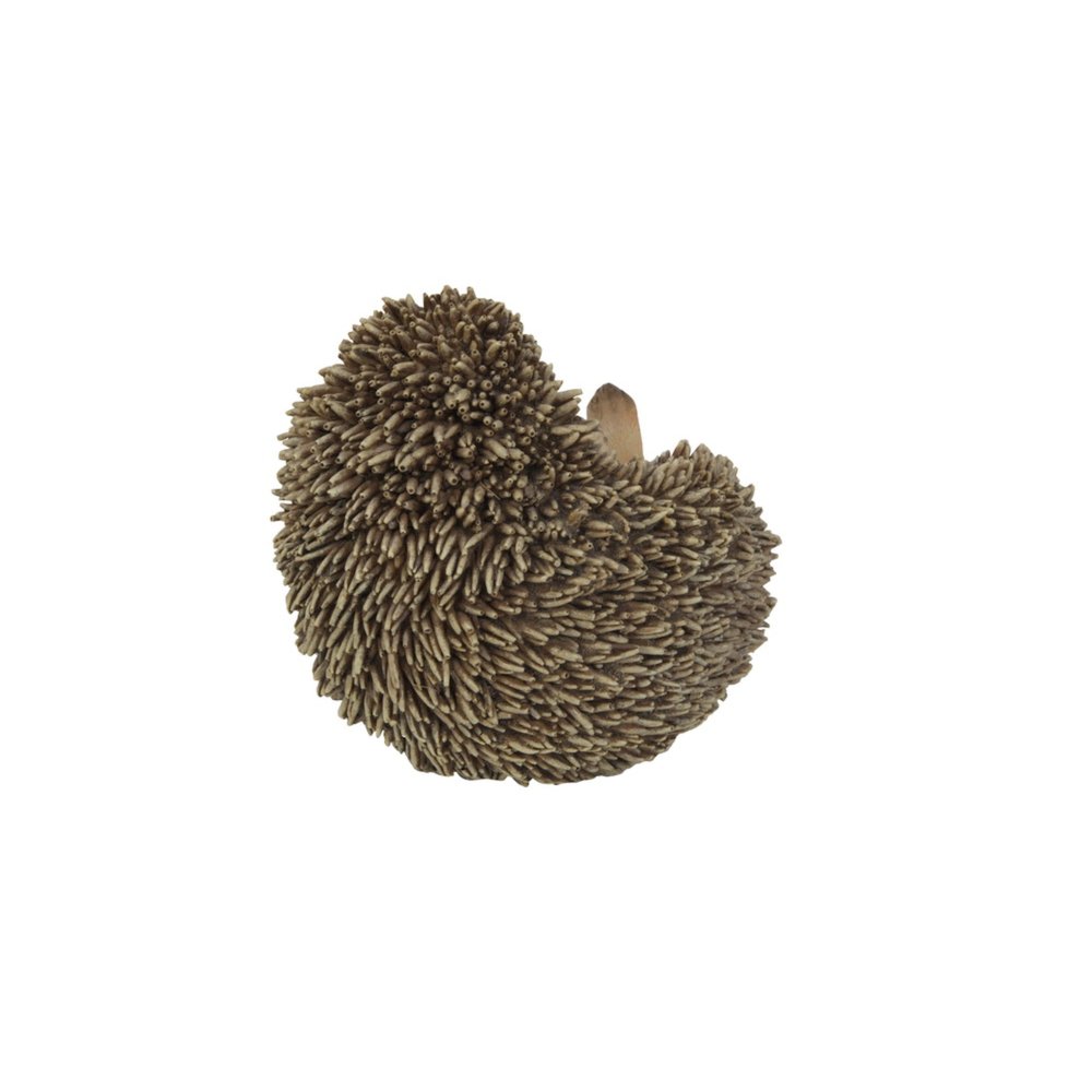 Hedgehog On Its Back. Picture 1