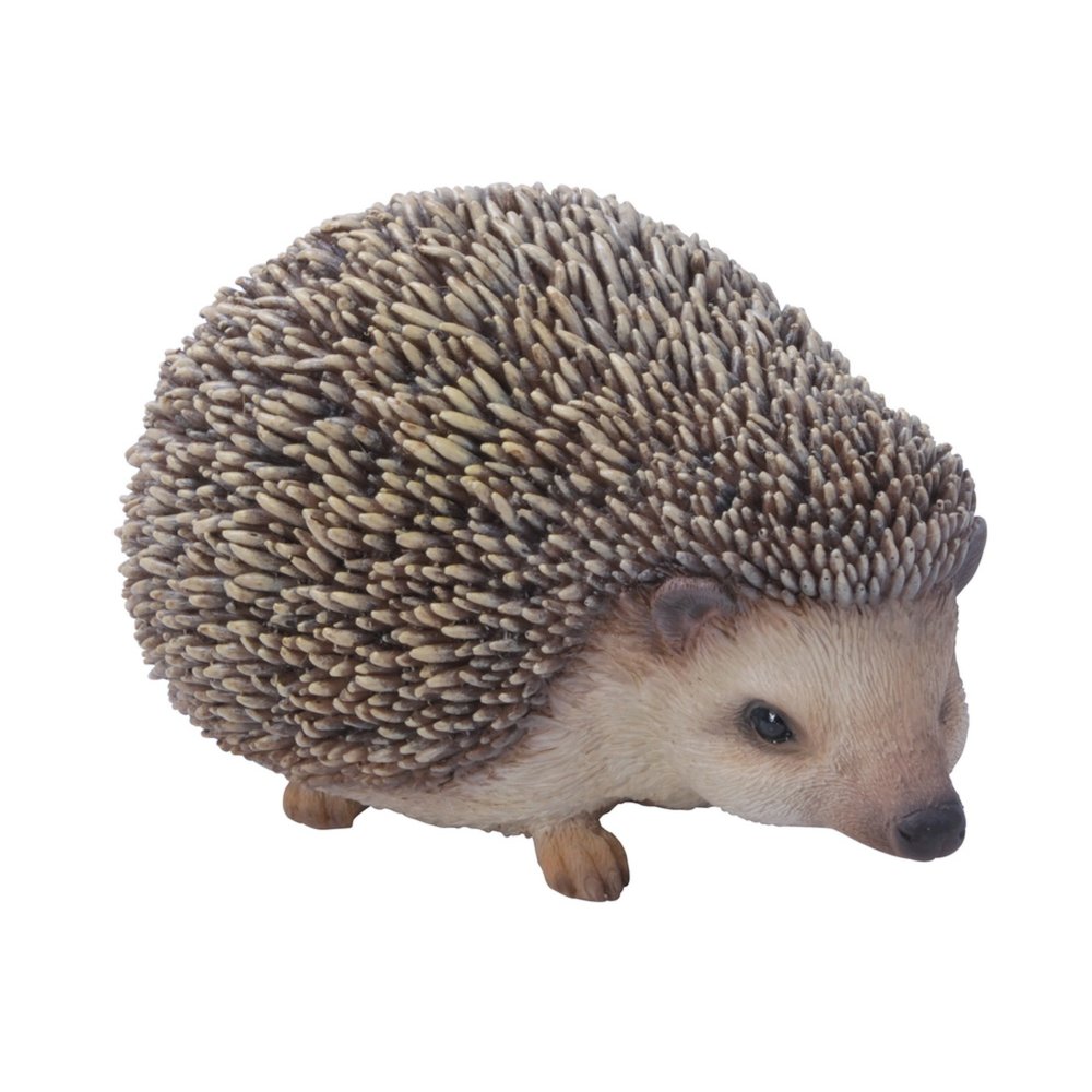 Sitting Hedgehog. Picture 2