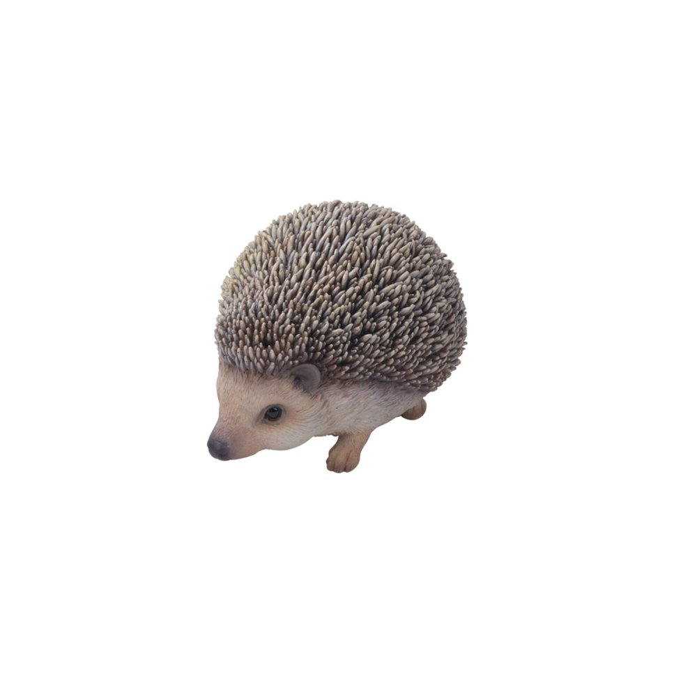Sitting Hedgehog. Picture 1