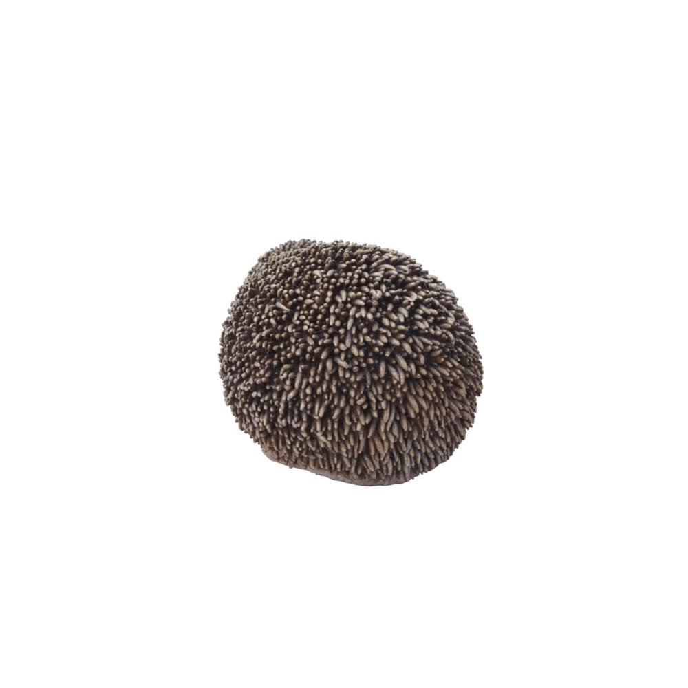 Sitting Hedgehog. Picture 3