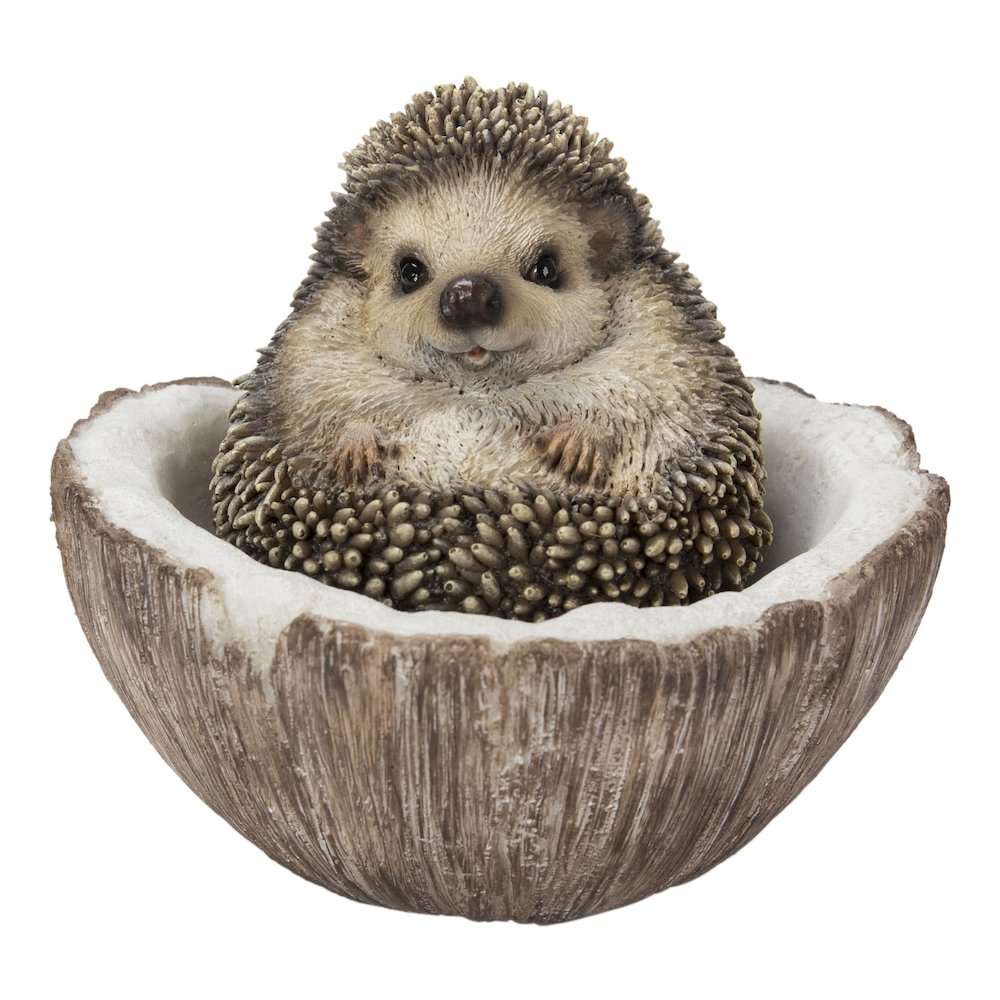 Coconut Hedgehog. Picture 2